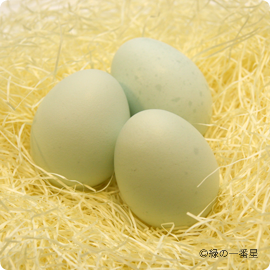 私達のたまごについて 田子たまご村 私達のたまごについて 田子たまご村