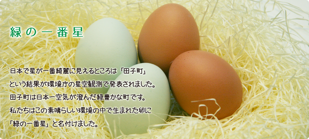 健康なたまごは健康な鶏から生まれます 田子たまご村